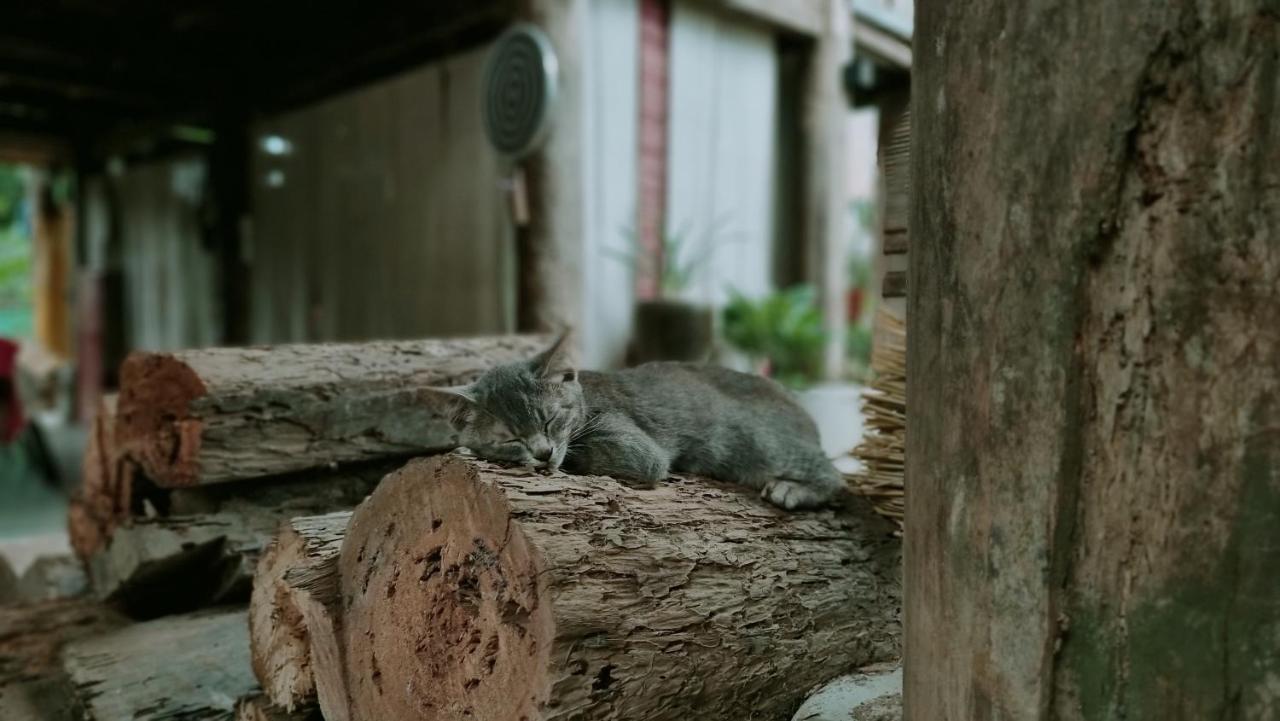 Mô he Son Tay Exterior foto